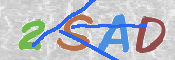 CAPTCHA (Şahıs Denetim Kodu) Resmi