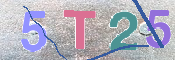 CAPTCHA (Şahıs Denetim Kodu) Resmi