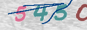 CAPTCHA (Şahıs Denetim Kodu) Resmi
