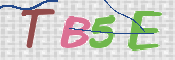 CAPTCHA (Şahıs Denetim Kodu) Resmi
