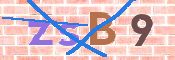 CAPTCHA (Şahıs Denetim Kodu) Resmi